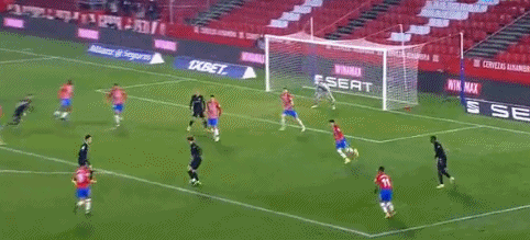 马克西姆：我曾为德泽尔比与萨索洛闹翻，愿追随他到任何地方